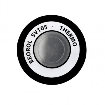 Sprej Thermo-resistant za visoke temperature Transparente 