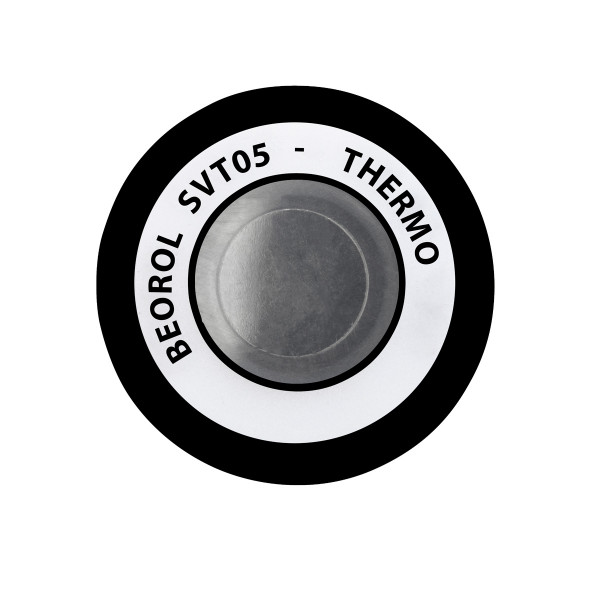 Sprej Thermo-resistant za visoke temperature Transparente 